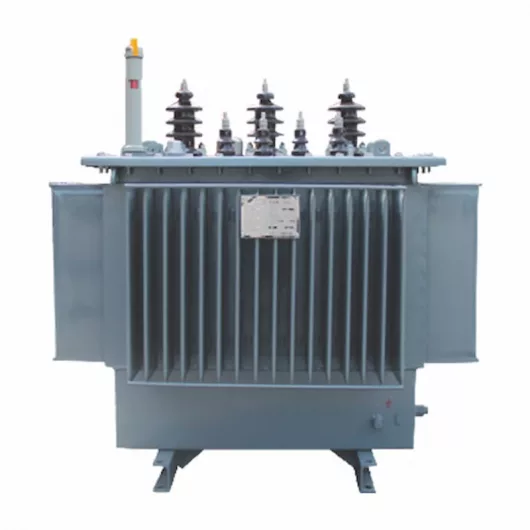 10KV Class Three Phase Oil-Immersed Distribution Transformer (4)