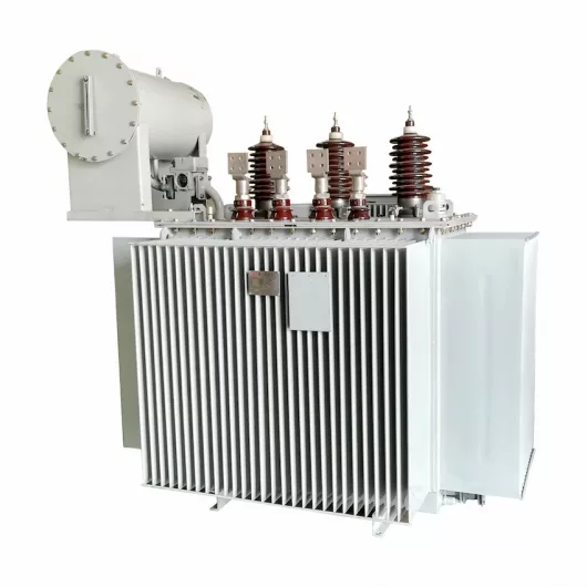 35KV Class Three Phase Oil-Immersed Distribution Transformer (14)