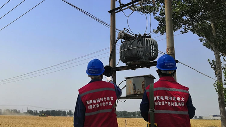 Electrical Power Transformer for Agricultural
